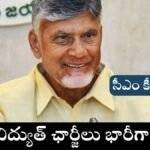 Electricity Charges Reduction CBN Key Statement